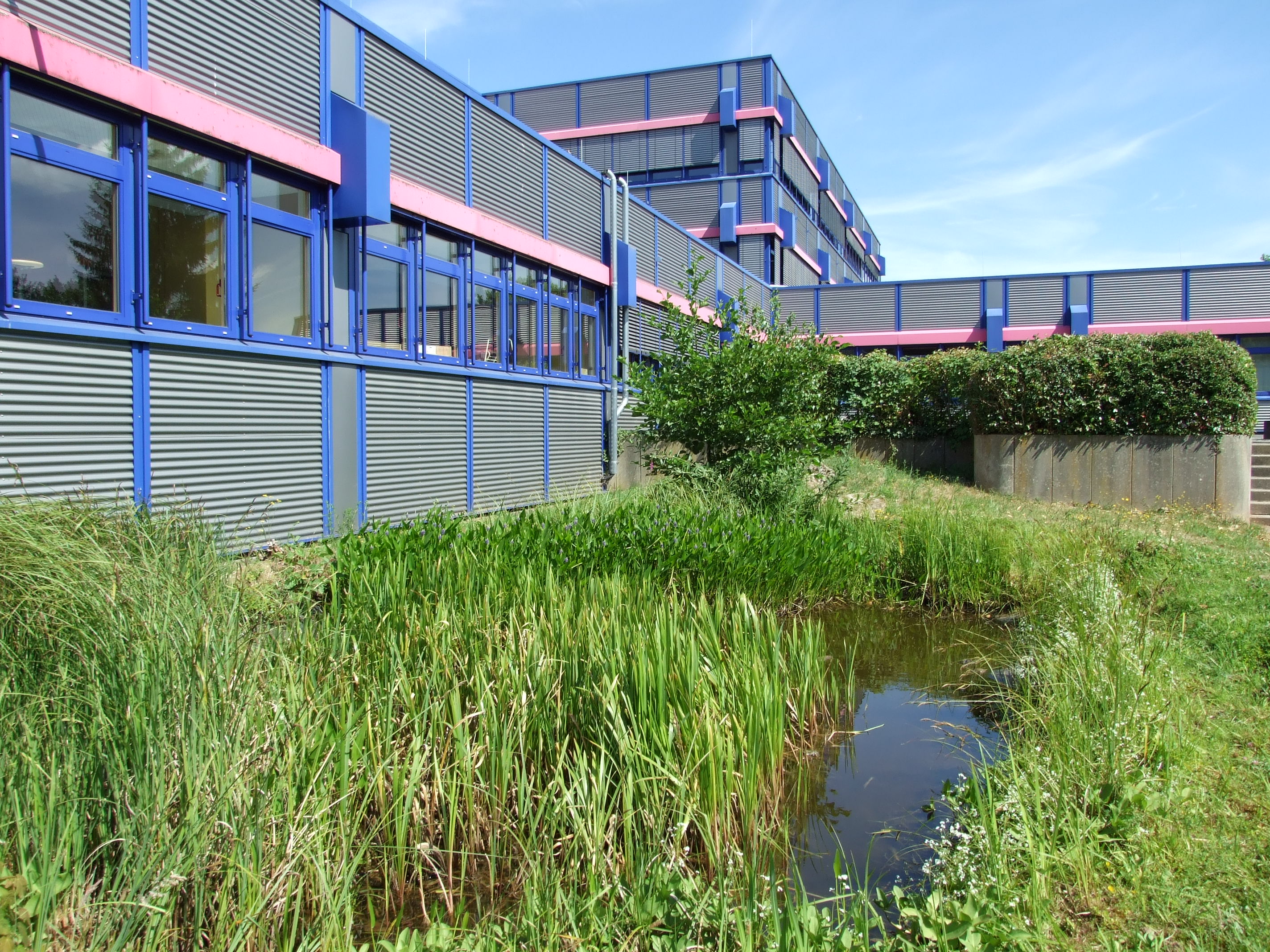 Die GeschwisterSchollSchule ist ENERGIESPARMEISTER 2017 Geschwister